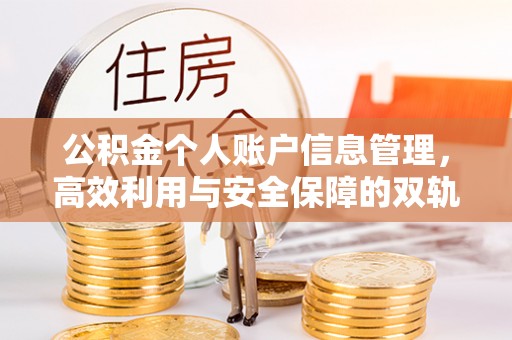 新郑公积金个人账户信息管理，高效利用与安全保障的双轨并行