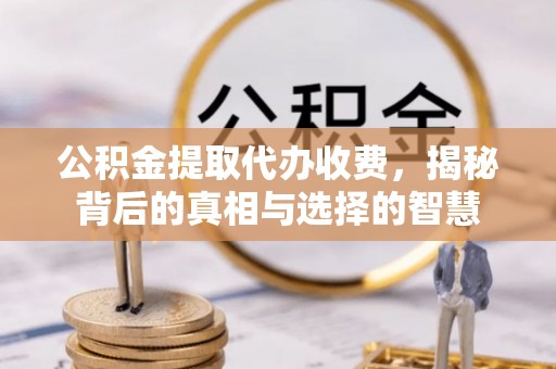 新郑公积金提取代办收费，揭秘背后的真相与选择的智慧