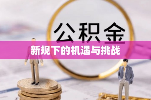 新郑新规下的机遇与挑战