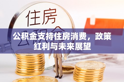 新郑公积金支持住房消费，政策红利与未来展望