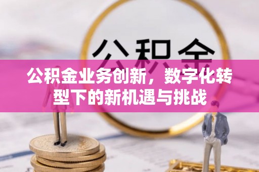新郑公积金业务创新，数字化转型下的新机遇与挑战