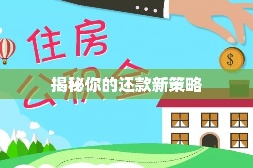 新郑揭秘你的还款新策略