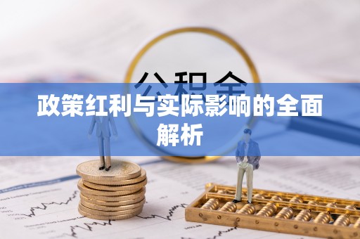 新郑政策红利与实际影响的全面解析