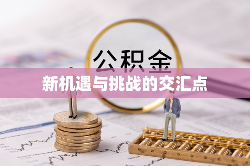 新郑新机遇与挑战的交汇点
