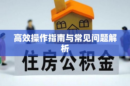 新郑高效操作指南与常见问题解析