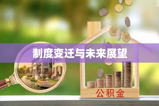 新郑制度变迁与未来展望