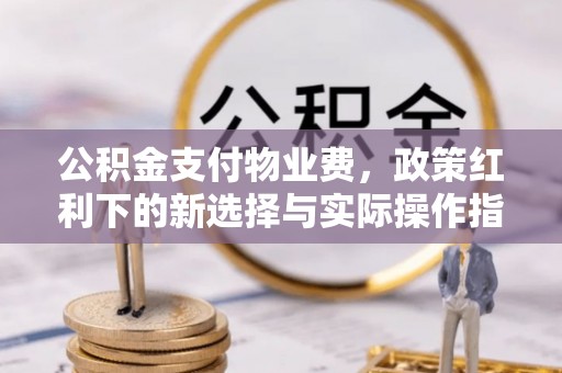 新郑公积金支付物业费，政策红利下的新选择与实际操作指南
