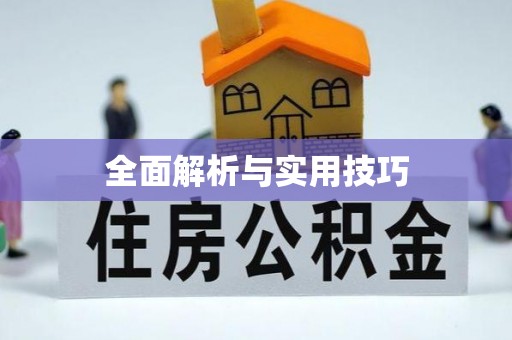新郑全面解析与实用技巧