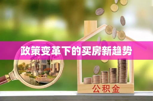 新郑政策变革下的买房新趋势