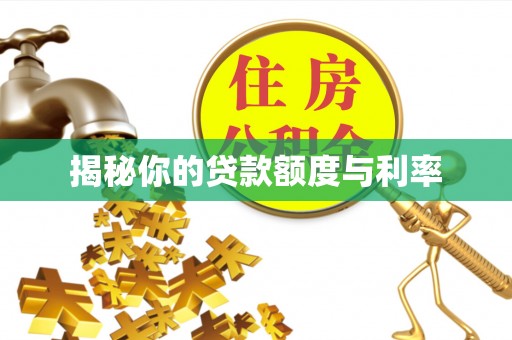 新郑揭秘你的贷款额度与利率