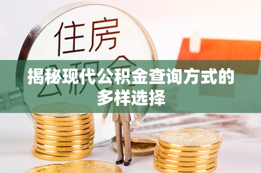新郑揭秘现代公积金查询方式的多样选择