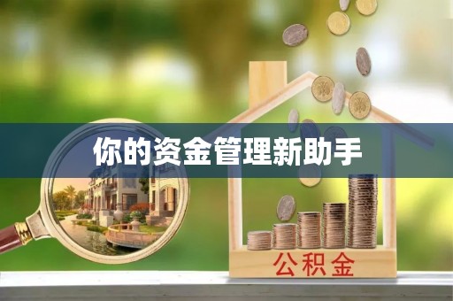 新郑你的资金管理新助手