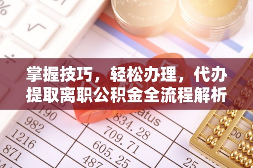 新郑掌握技巧，轻松办理，代办提取离职公积金全流程解析
