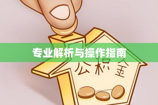 新郑专业解析与操作指南