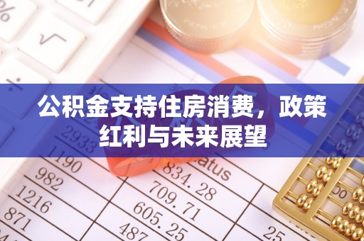 新郑公积金支持住房消费，政策红利与未来展望