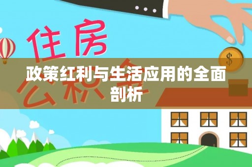 新郑政策红利与生活应用的全面剖析