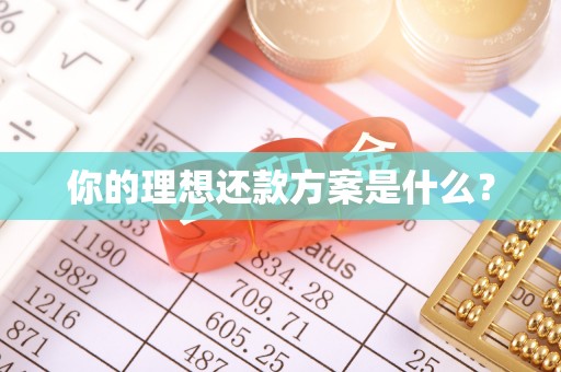 新郑你的理想还款方案是什么？
