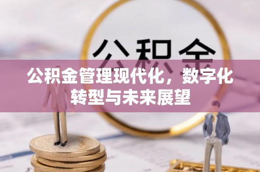 新郑公积金管理现代化，数字化转型与未来展望
