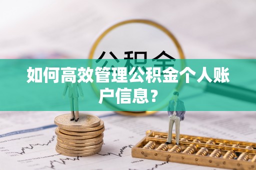 新郑如何高效管理公积金个人账户信息？