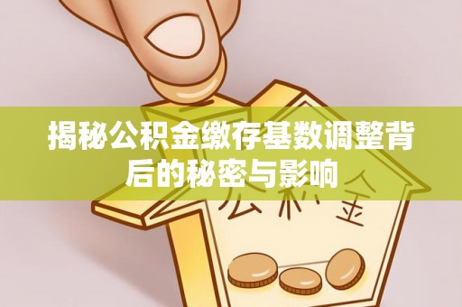 新郑揭秘公积金缴存基数调整背后的秘密与影响