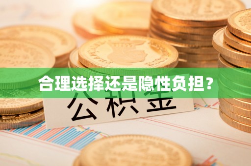 新郑合理选择还是隐性负担？