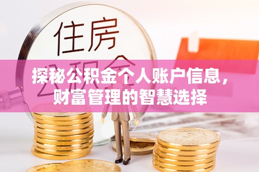 新郑探秘公积金个人账户信息，财富管理的智慧选择