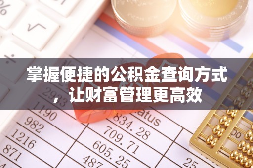 新郑掌握便捷的公积金查询方式，让财富管理更高效