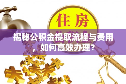新郑揭秘公积金提取流程与费用，如何高效办理？