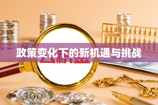 新郑政策变化下的新机遇与挑战