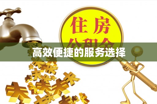 新郑高效便捷的服务选择