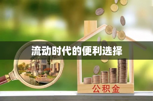 新郑流动时代的便利选择